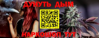 герыч Кингисепп