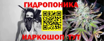 герыч Кингисепп