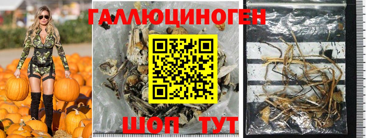 цены наркотик  Вход с VPN  Избербаш  Галлюциногенные грибы Psilocybine cubensis  Псилоцибиновые грибы ЛСД 