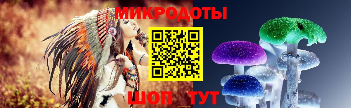 Галлюциногенные грибы GOLDEN TEACHER Избербаш